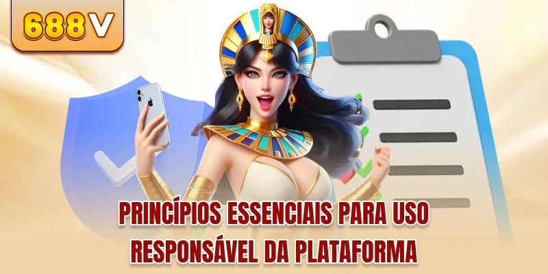 Princípios essenciais para uso responsável da plataforma